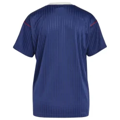 Football And Rugby Clothing*adidas Arsenal 2024 2025 Icon Shirt Adults in Blue