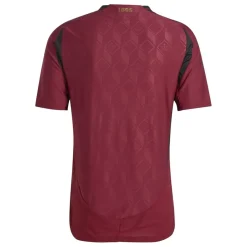 Football And Rugby Clothing*adidas Belgium Authentic Home Shirt 2024 in Red