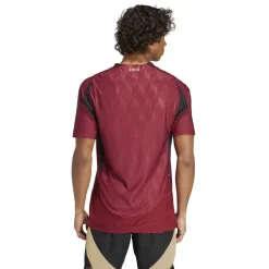 Football And Rugby Clothing*adidas Belgium Authentic Home Shirt 2024 in Red