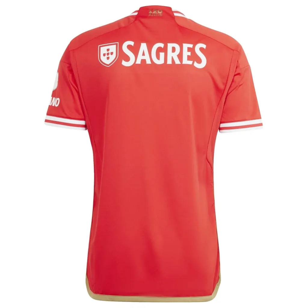 Football And Rugby Clothing*adidas Benfica T in Red