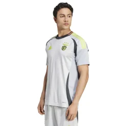 Football And Rugby Clothing*adidas Benfica Third Shirt 2024 2025 Adults in Grey