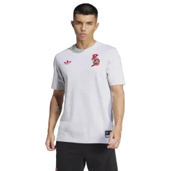 Football And Rugby Clothing*adidas Fc Bayern Vrct Tee in Grey
