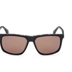 Sunglasses*adidas Originals Adidas Acet Snglss in Black