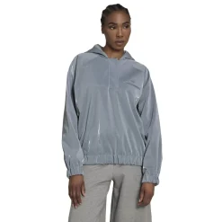 Sweatshirts*adidas Originals Hooded Relaxed Fit Long Sleeve Sweatshirt in Grey