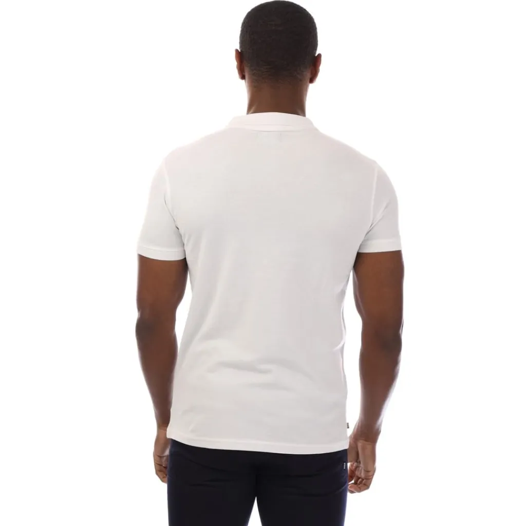 Polo Shirts*Aquascutum Ss Polo in Multi