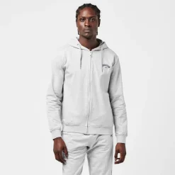 Hoodies*Aquascutum Zf Hoody in Grey