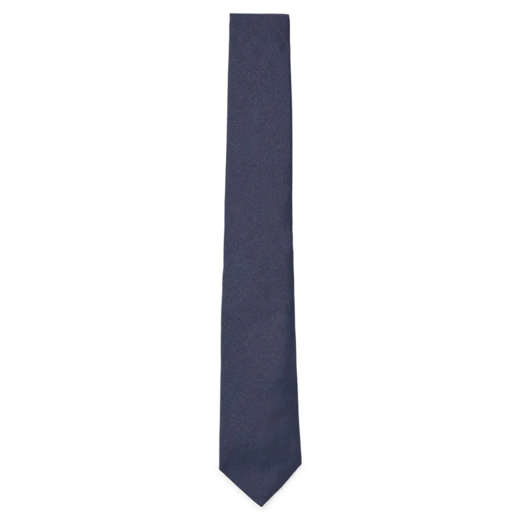 Assorted*Boss 7.5 Cm Tie in Blue