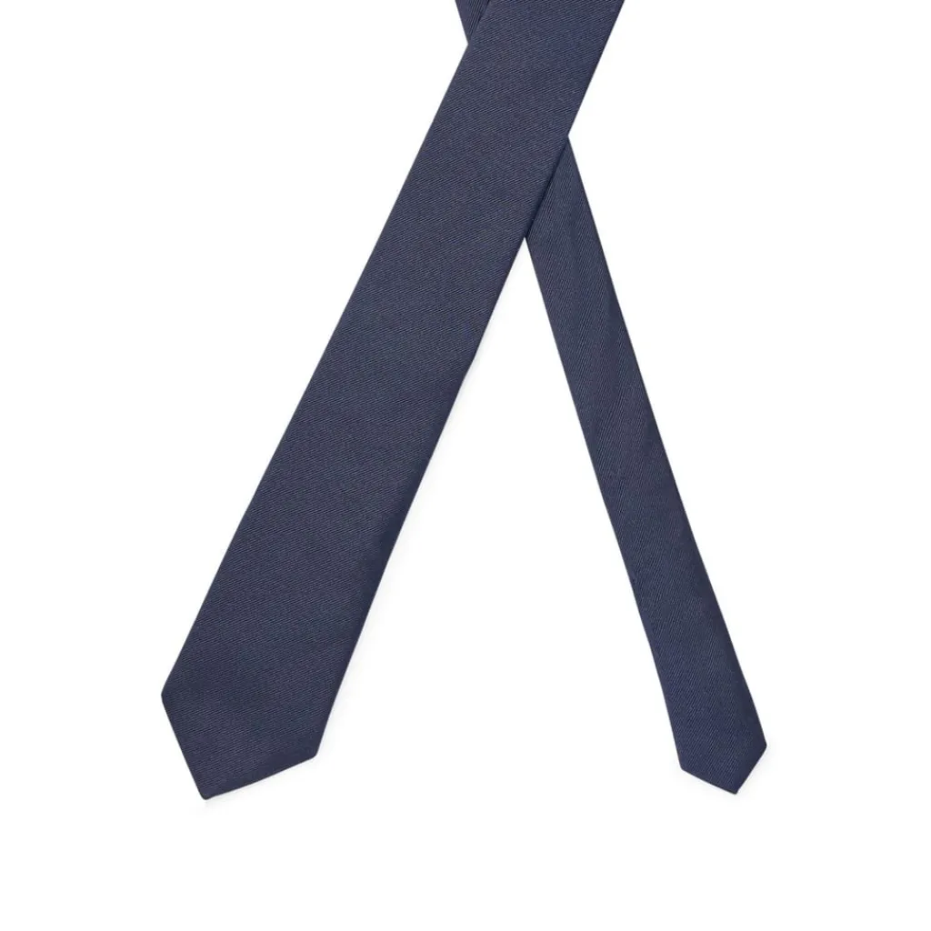Assorted*Boss 7.5 Cm Tie in Blue