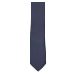 Assorted*Boss 7.5 Cm Tie in Blue