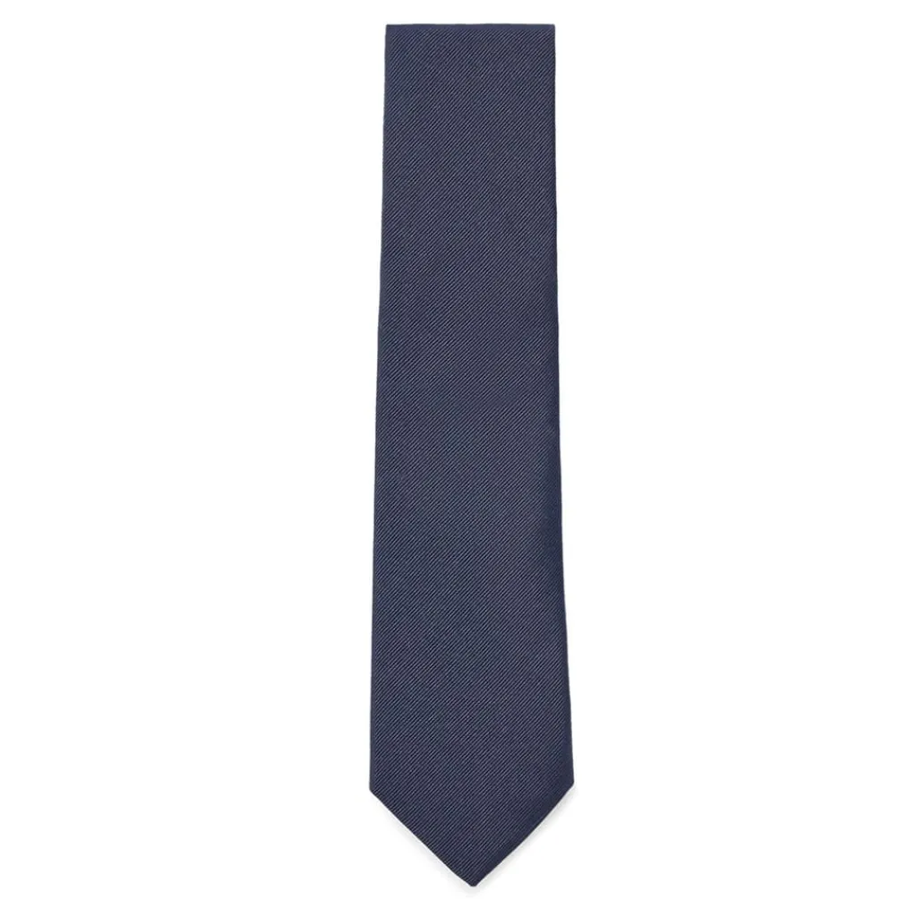 Assorted*Boss 7.5 Cm Tie in Blue