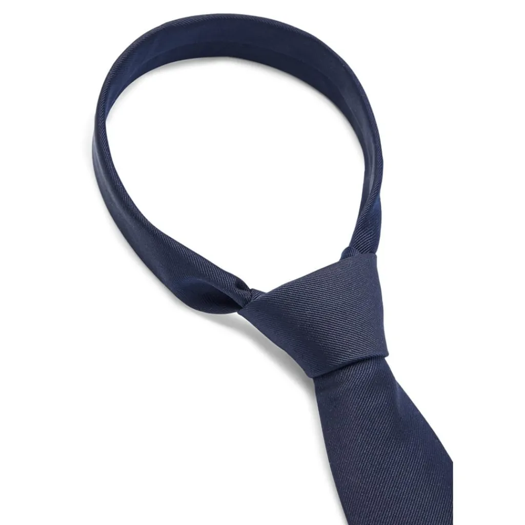 Assorted*Boss 7.5 Cm Tie in Blue