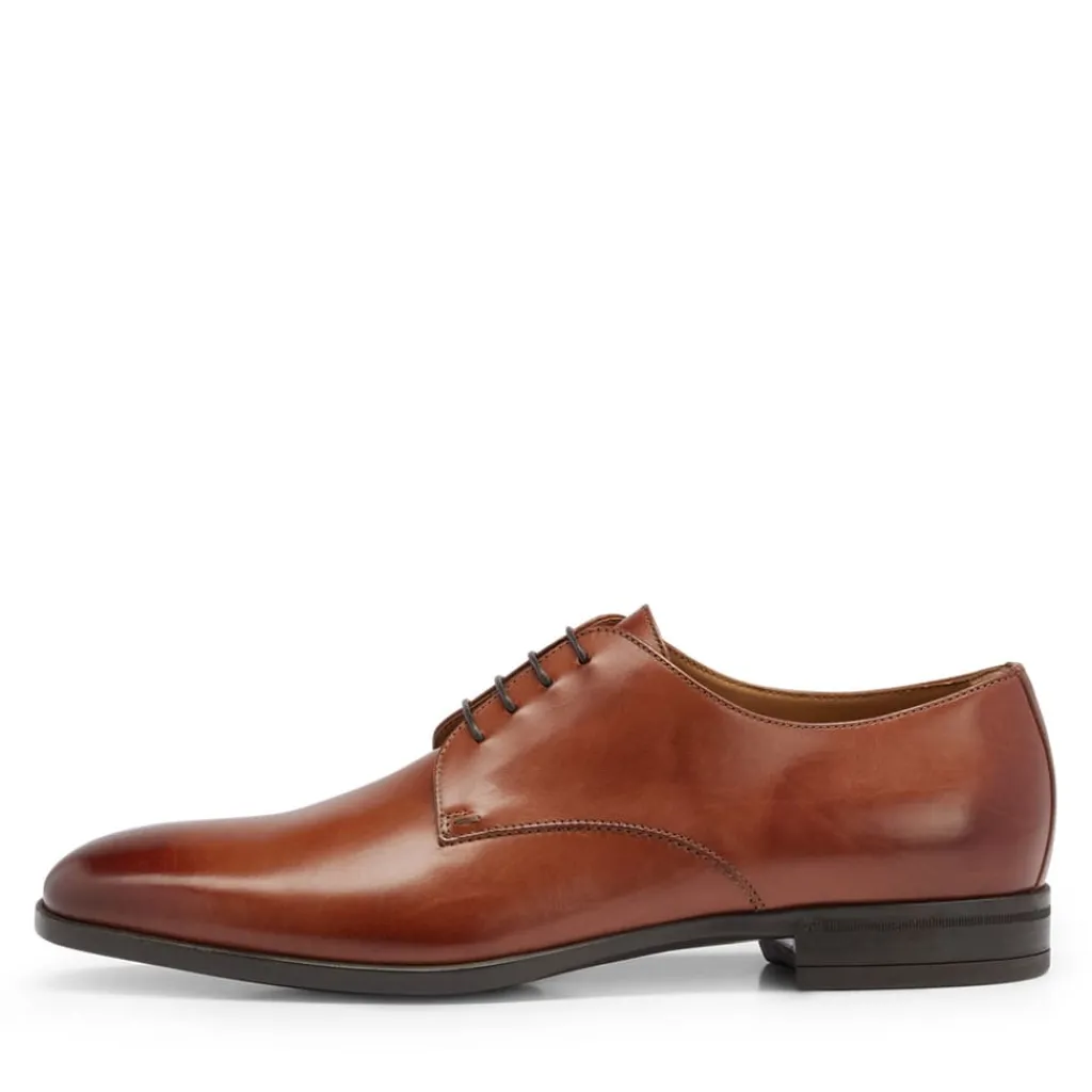 Shoes|Footwear*Boss Kensington Derby Shoes in Brown