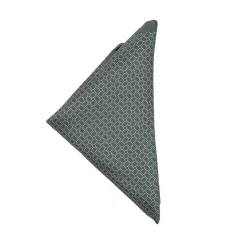 Formalwear*Boss Pocket Square in Green
