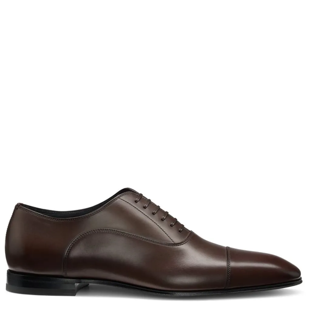 Shoes*Boss X Beckham Oxford Shoes in Brown