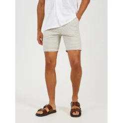 Shorts*Brave Soul Cotton Shorts in Blue