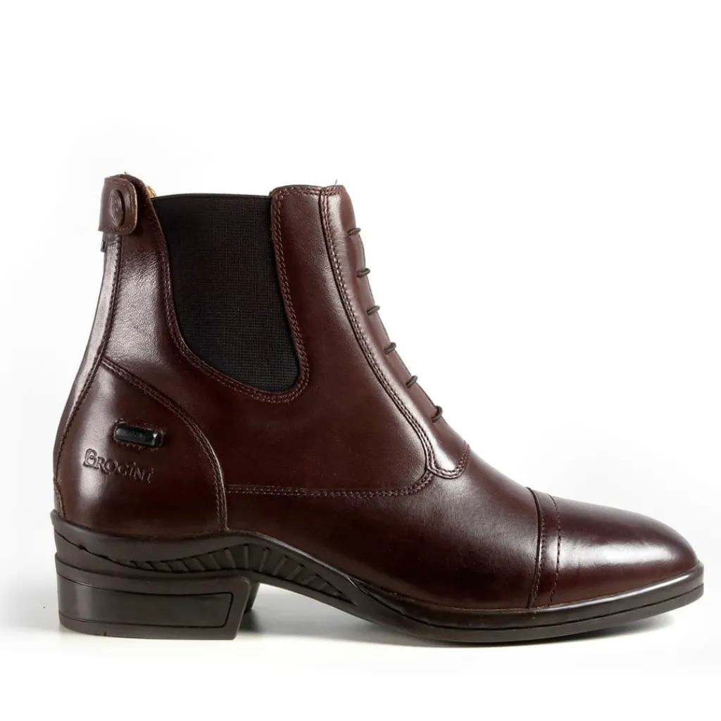 Boots*Brogini 437 Trieste Paddock Boots in Brown