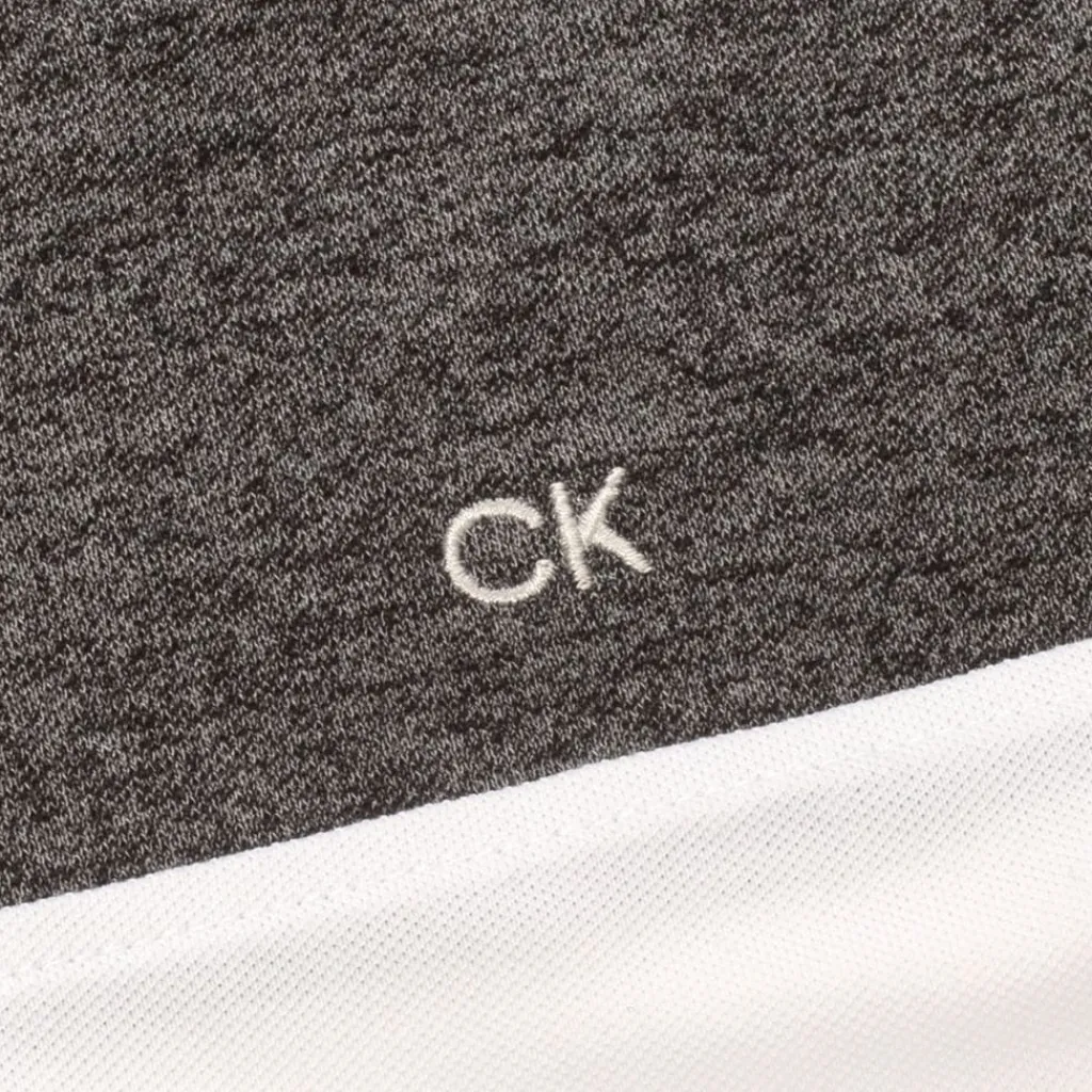 Polo Shirts*Calvin Klein Golf Block Polo Shirt in Multi