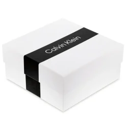 Jewellery-Watches*Calvin Klein Stainless Steel Brushed Dog Tag Necklace in Silver