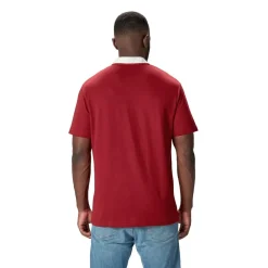Fitness And Gym Tops*Canterbury British And Irish Lions Classic Shirt 2024 Adults in Red
