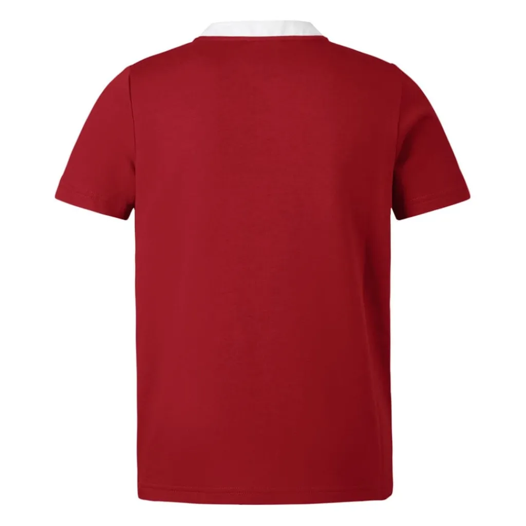 Fitness And Gym Tops*Canterbury British And Irish Lions Classic Shirt 2024 Adults in Red