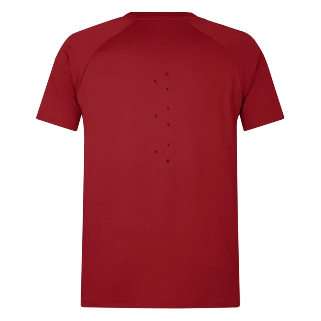 Fitness And Gym Tops*Canterbury British And Irish Lions Everest T-Shirt 2024 Adults in Red