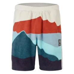 Fitness And Gym Shorts*Canterbury British And Irish Lions 2024 Outback Shorts Adults in Multi