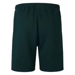 Fitness And Gym Shorts*Canterbury Mens British And Irish Lions Stealth Shorts 2025 in Green