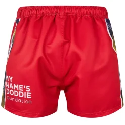 Fitness And Gym Tops|Fitness And Gymwear*Canterbury Mens British And Irish Lions Shorts 2025 in Red