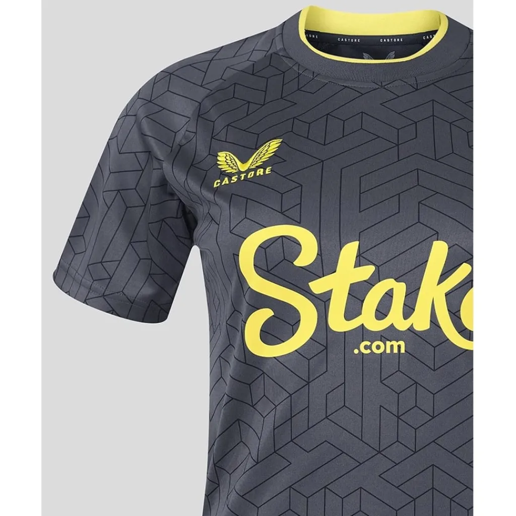 Football And Rugby Clothing*Castore Everton Away Shirt 2024 2025 Adults in Grey