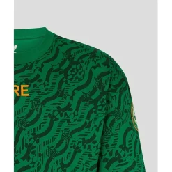 Football And Rugby Clothing*Castore Ireland Hype T-Shirt Adults 2024 in Green