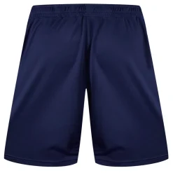 Fitness And Gym Shorts*Castore Scarlets Training Shorts 2024 2025 Adults in Blue