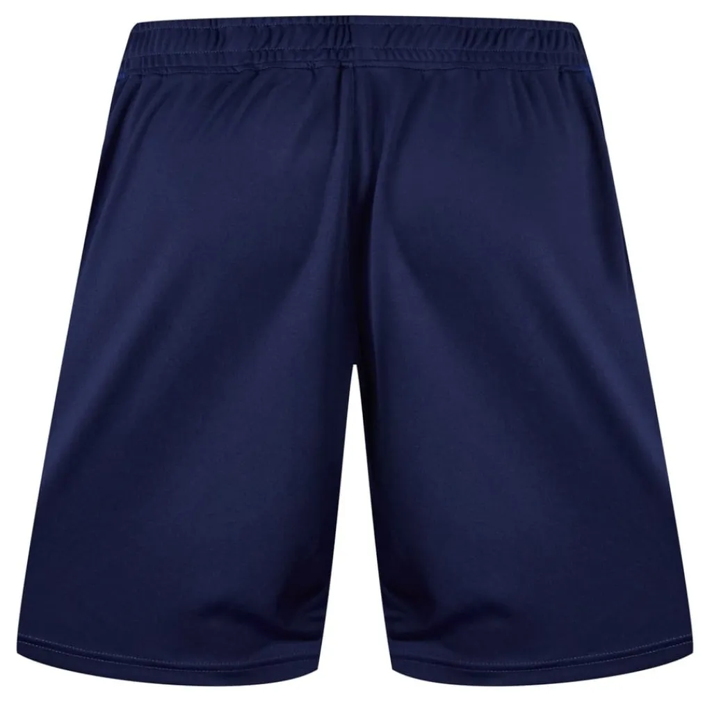 Fitness And Gym Shorts*Castore Scarlets Training Shorts 2024 2025 Adults in Blue