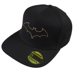 Caps-Hats*DC Comics Comics Snapback in Black