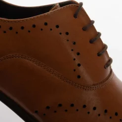 Shoes*Dune London Sign Brogues in Brown