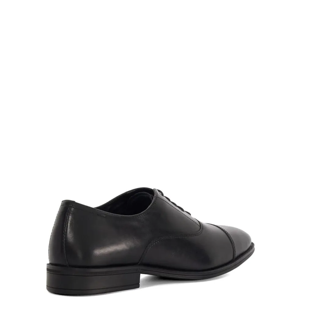 Shoes*Dune London Steffon Oxford in Black