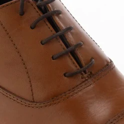 Shoes*Dune London Stormy Derby Shoes in Brown