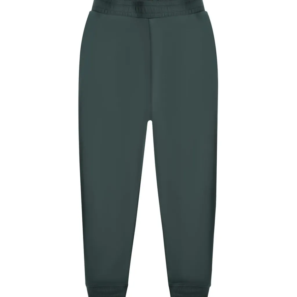 Tracksuits*Everlast Jog Set in Green
