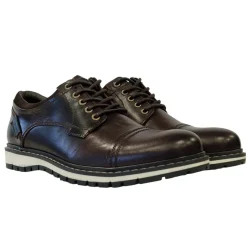 Shoes*Firetrap Aubin Shoe in Brown
