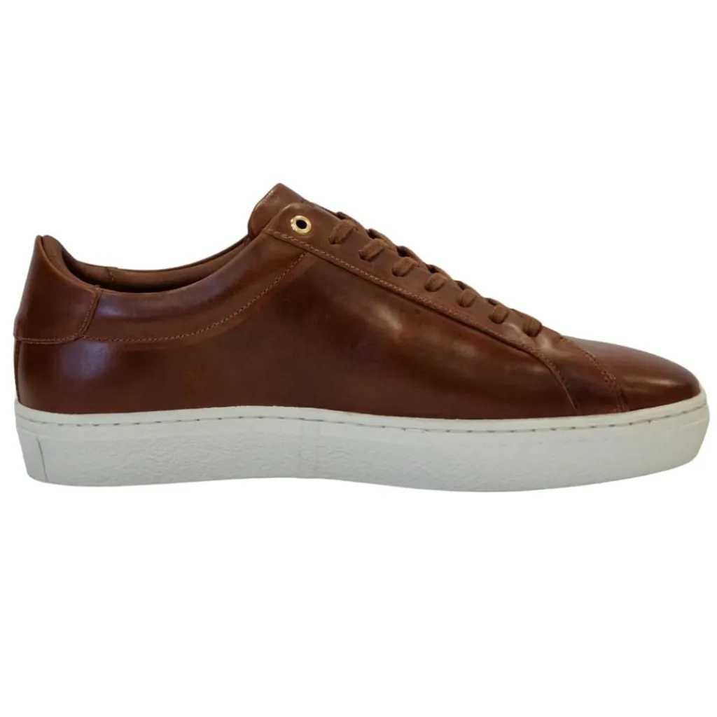 Trainers*Firetrap Franck Low Top Sneakers in Brown