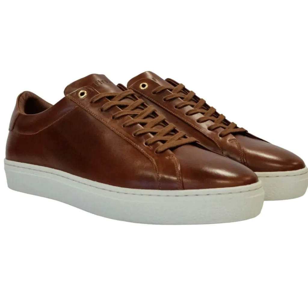 Trainers*Firetrap Franck Low Top Sneakers in Brown