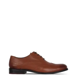 Shoes*Firetrap Mens Spencer Shoes in Brown