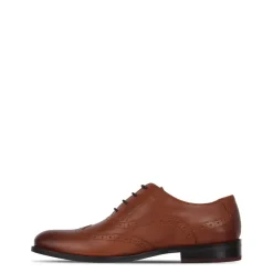 Shoes*Firetrap Mens Spencer Shoes in Brown