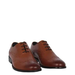 Shoes*Firetrap Mens Spencer Shoes in Brown