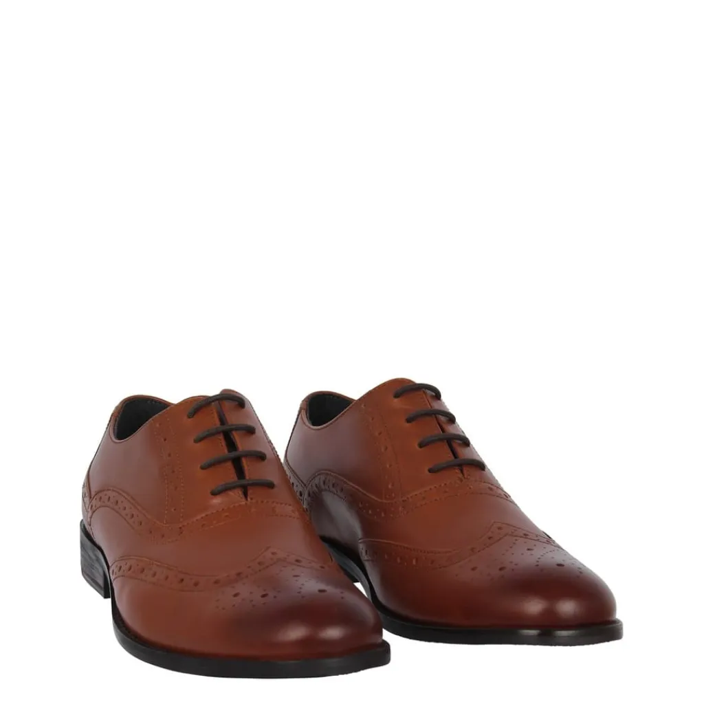 Shoes*Firetrap Mens Spencer Shoes in Brown
