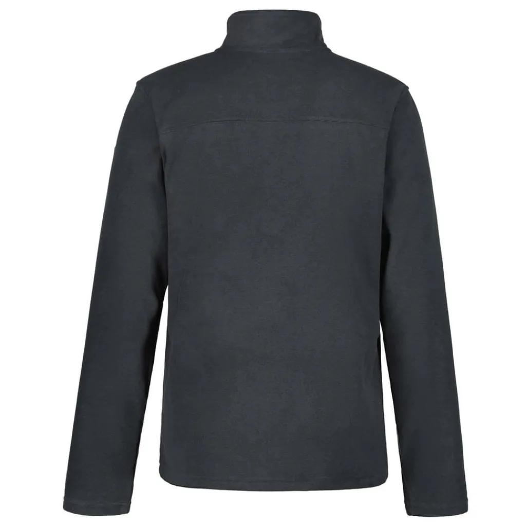 Sweatshirts*Icepeak Maxwell Full-Zip Fleece in Grey