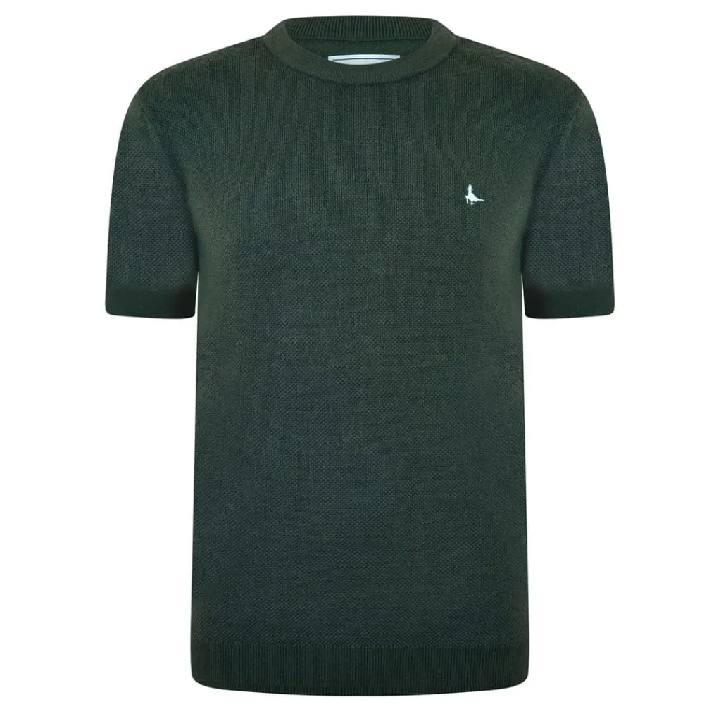 Knitwear*Jack Wills Knitted Crew Neck Regular Fit T-Shirt in Green