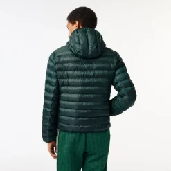Coats And Jackets*Lacoste Bh0539 Pffr in Green