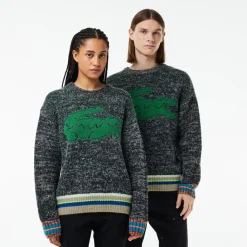 Knitwear*Lacoste Crew Neck Regular Fit Long Sleeve Sweater in Multi