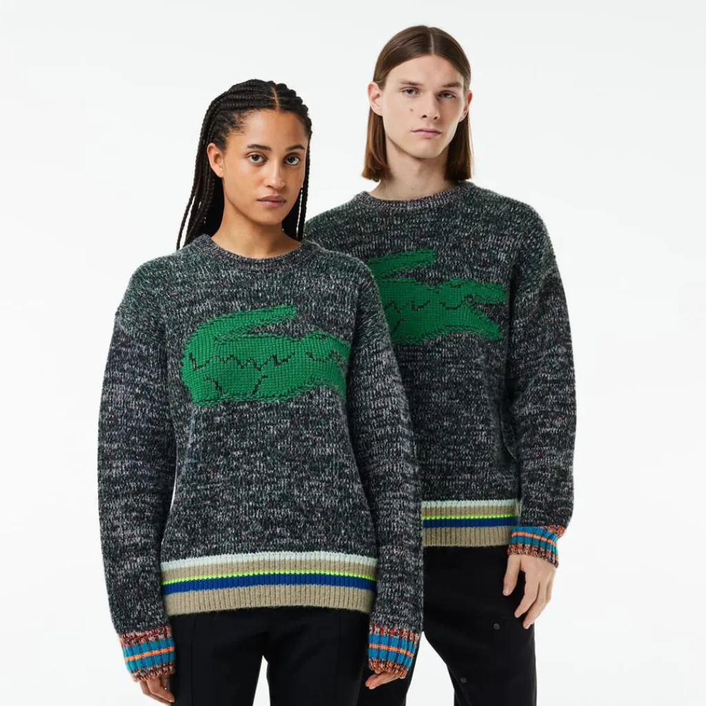 Knitwear*Lacoste Crew Neck Regular Fit Long Sleeve Sweater in Multi