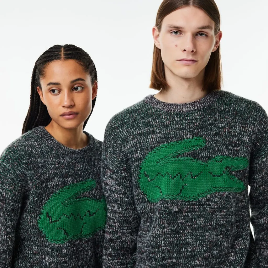 Knitwear*Lacoste Crew Neck Regular Fit Long Sleeve Sweater in Multi